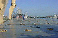 Cargo ship deck strewn with drying fish